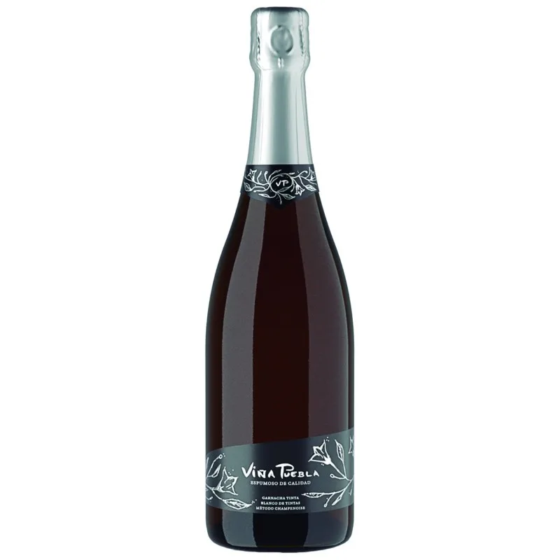 Viña Puebla Espumoso Brut 2023